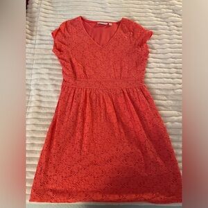 Lace dress, gently worn, selling as it no longer fits me.